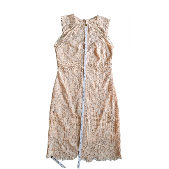 Main Strip Sleeveless Crochet Lace Knee Length Dress Cream Nude Womens - Picture 11 of 16